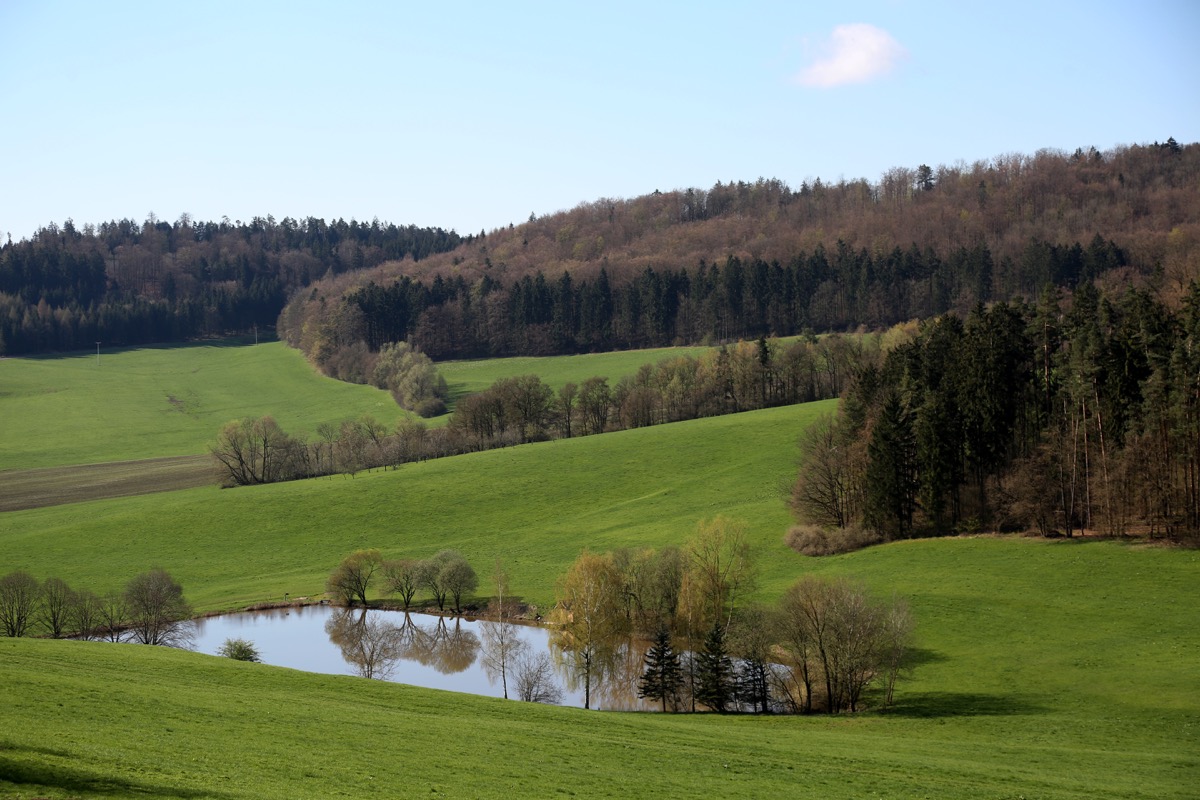 3-Blick-auf-Teich---Route-zur-Schaumburg